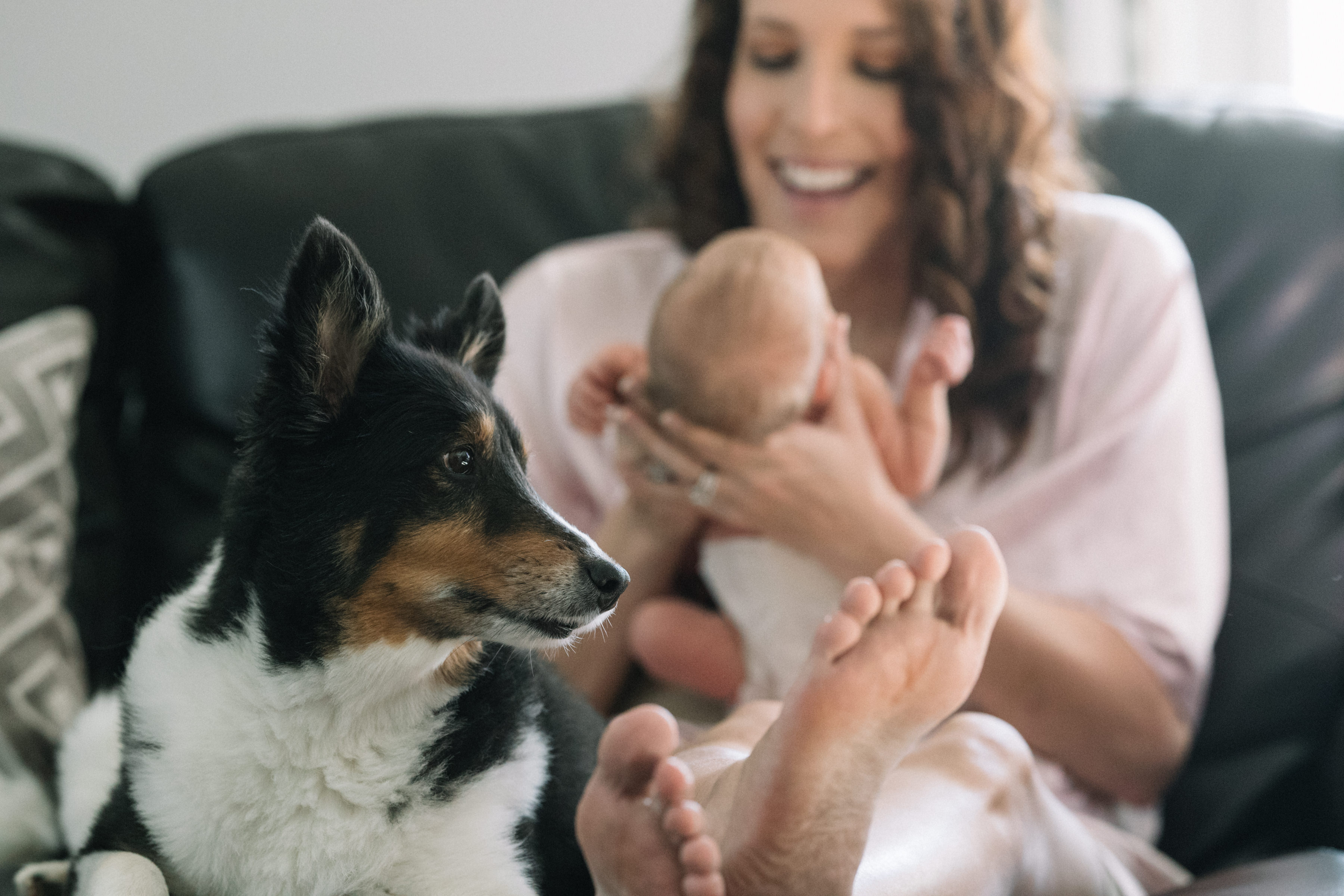 New mom holding her newborn baby girl with her dog watching over by her feet