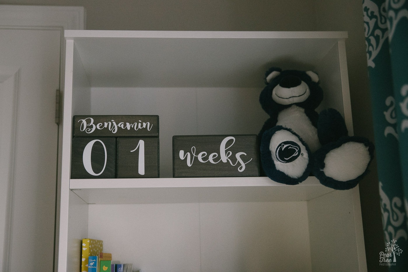 Newborn session photograph of Benjamin's shelves counting his age in blocks with a Blue bear.