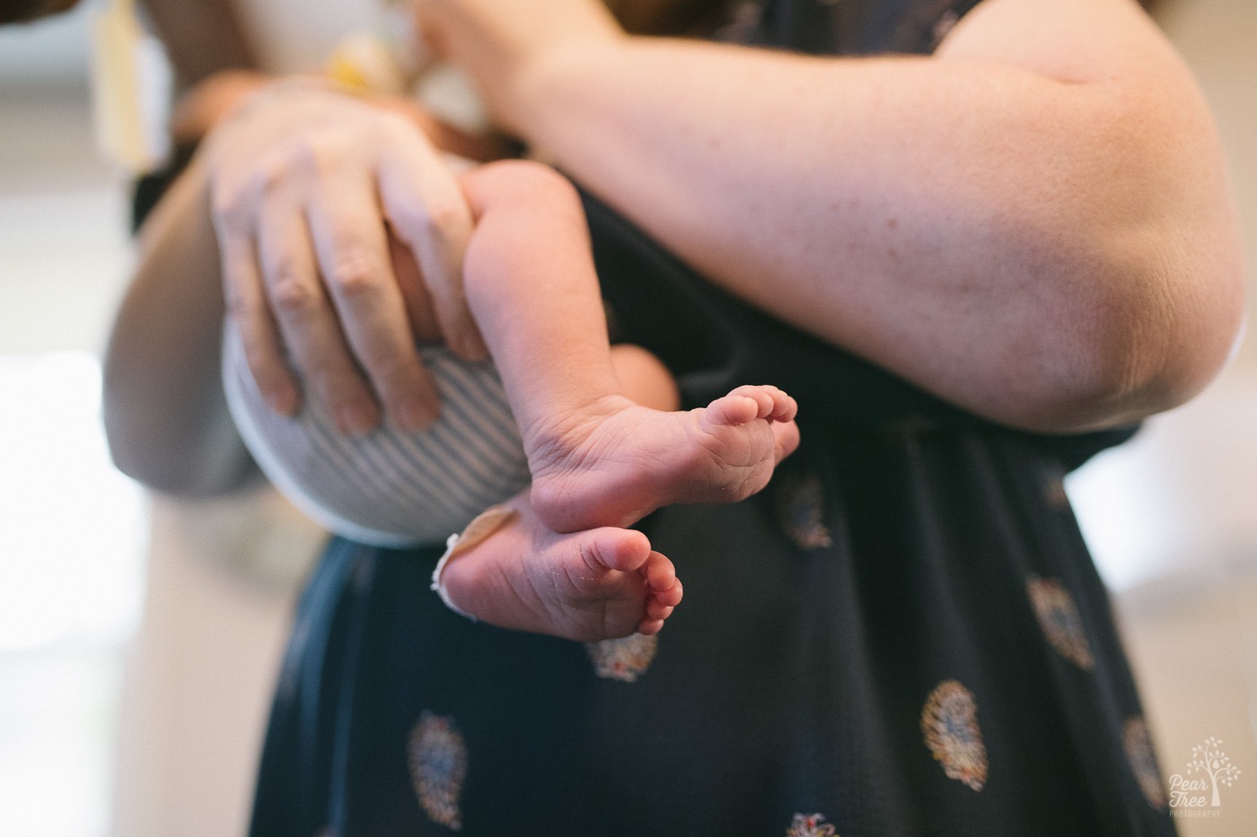 Five day old newborn feet dangling from mom's arms with band-aids on heels from hospital shots.