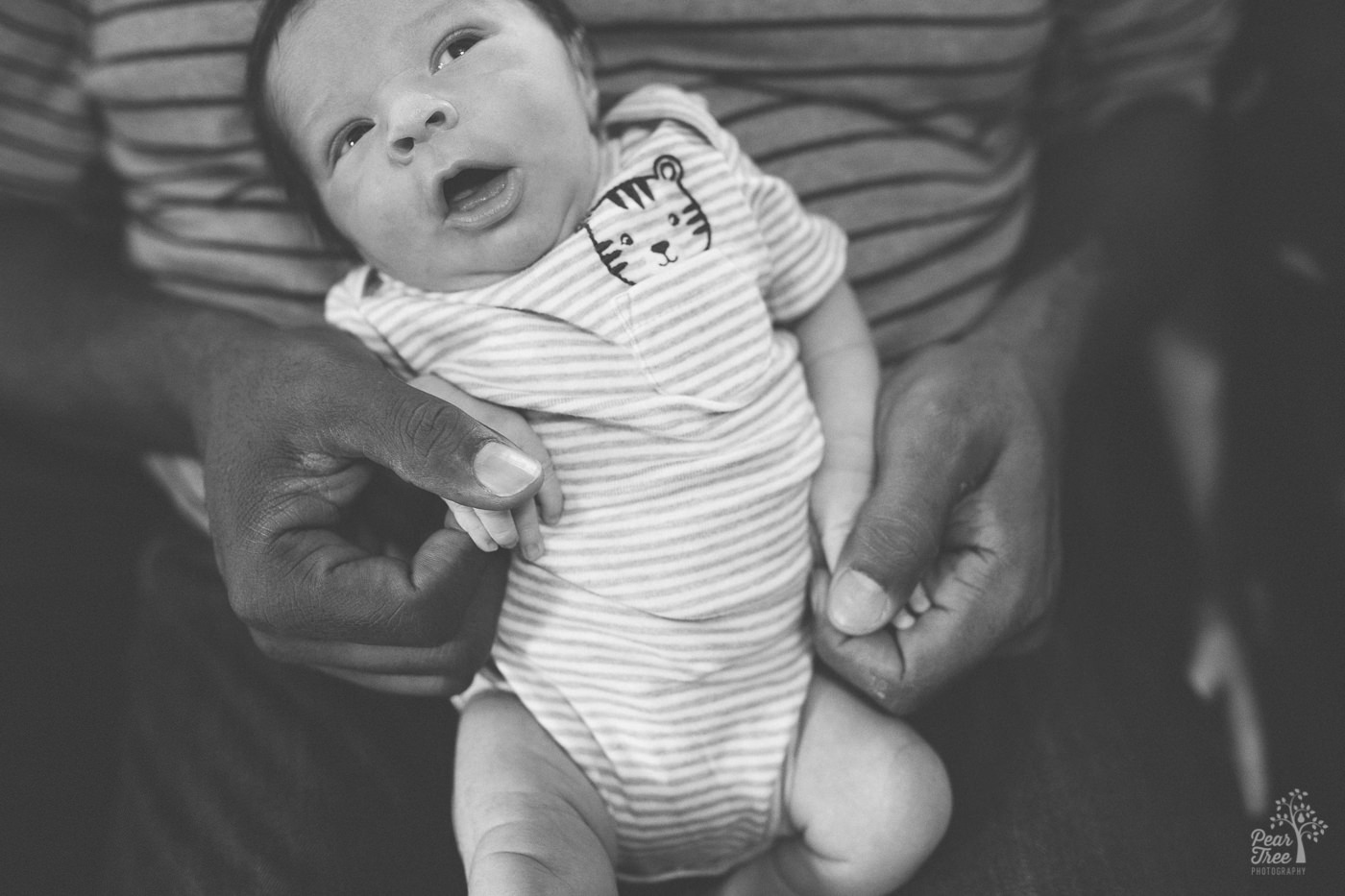 Five day old newborn being held on Dad's belly during lifestyle newborn session.