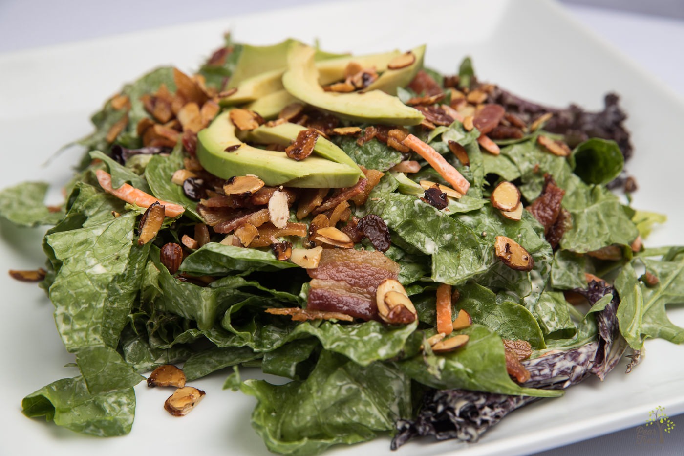 Delicious spring salad with fresh avocado slices, fried bacon, almond slivers, raisins, and carrot slices created by Divine Taste of Heaven