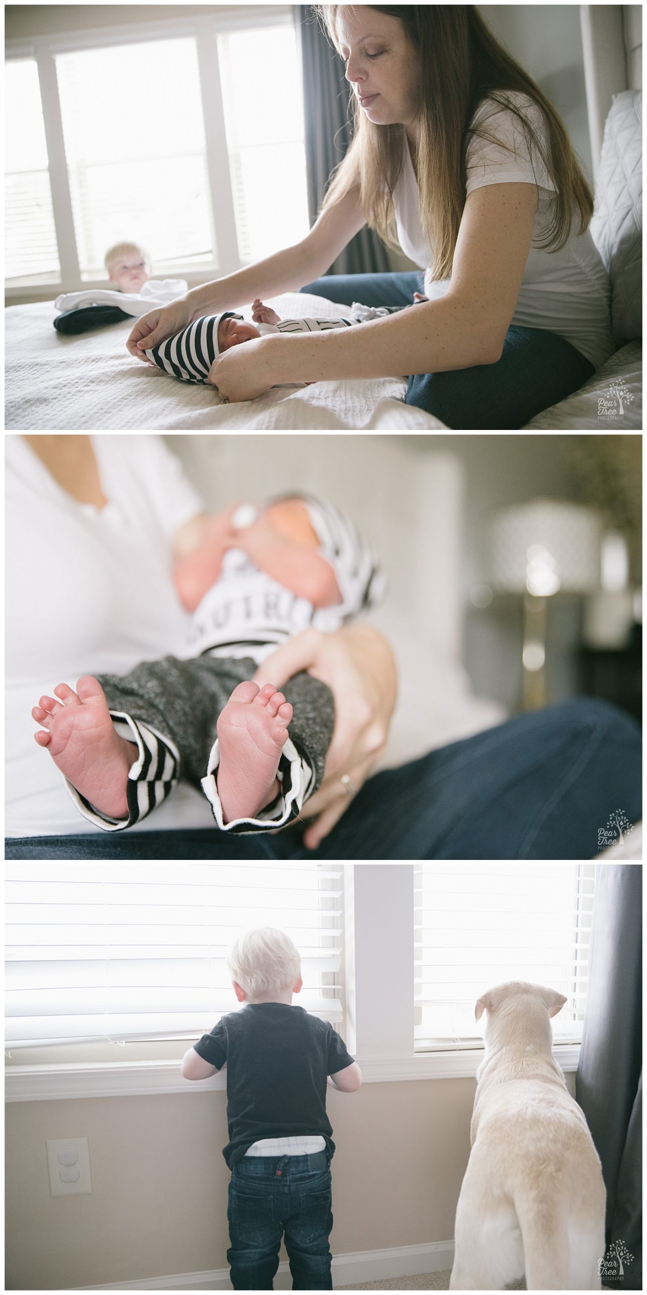 Sweet newborn feet