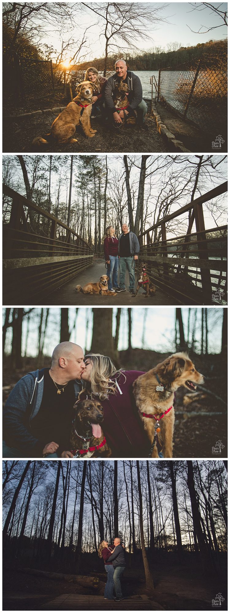 Happy couple posing with their dogs during engagement session at Jones Bridge Park.