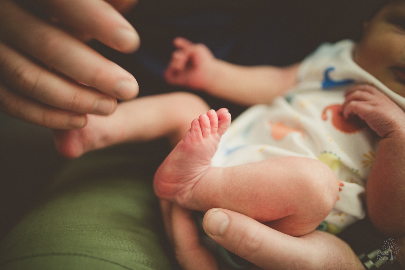 Father's hands holding his infant son and showing off tiny toes during their newborn photography session
