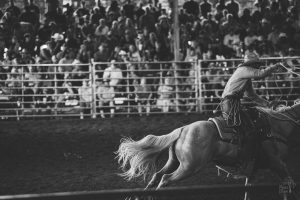 Black and white photograph of a cowboy running out of frame with the horse's tail flying out behind him at a rodeo with his hand raised in the air swirling his lasso rope