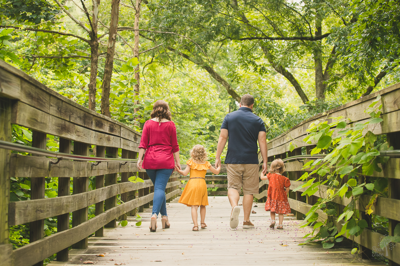 A family of four holding hands and walking down a boardwalk away from the camera and surrounded by a lush forest