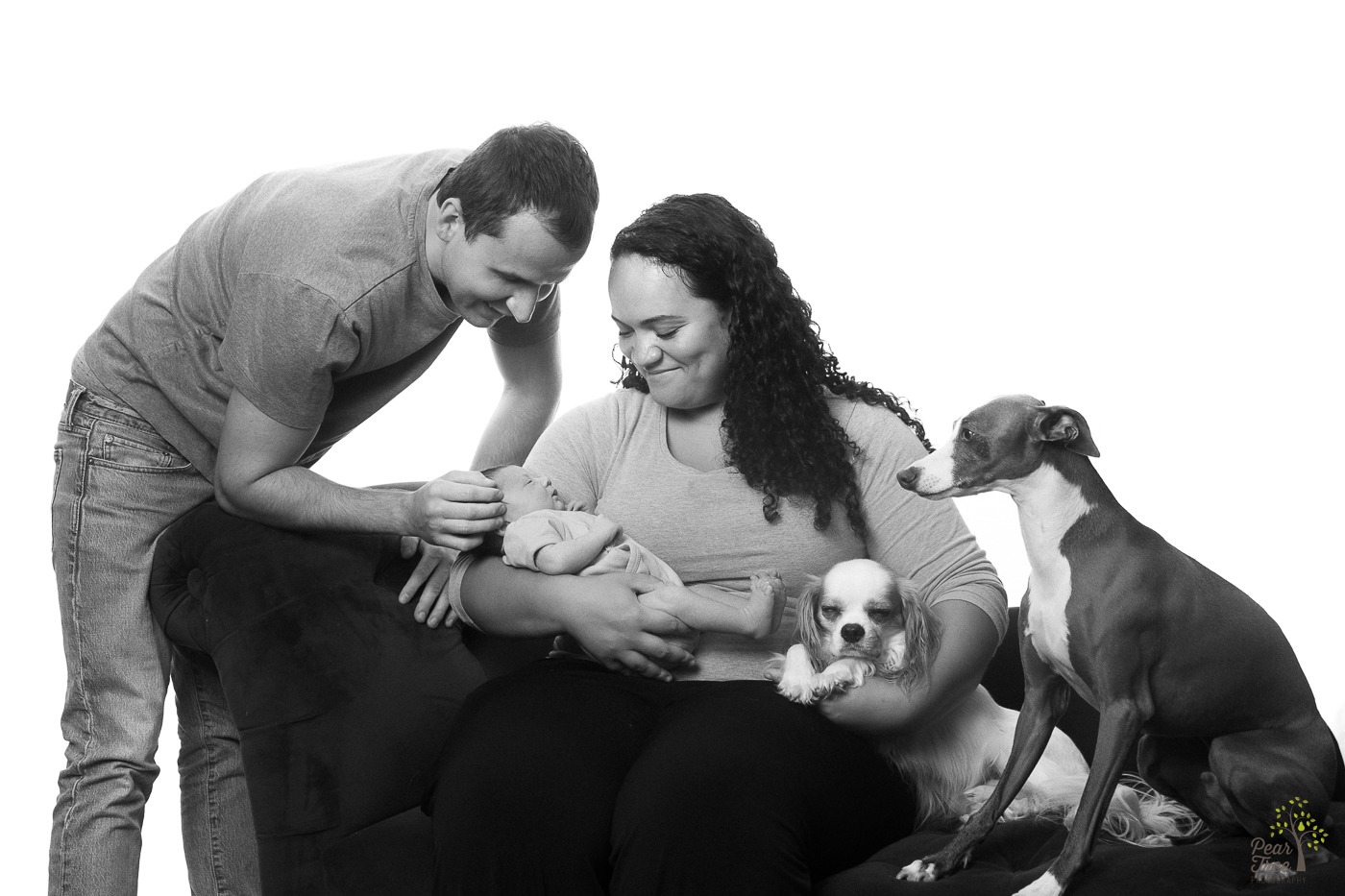 Black and white photograph of happy parents holding their newborn daughter. Their miniature greyhound and King Charles dogs are sitting close