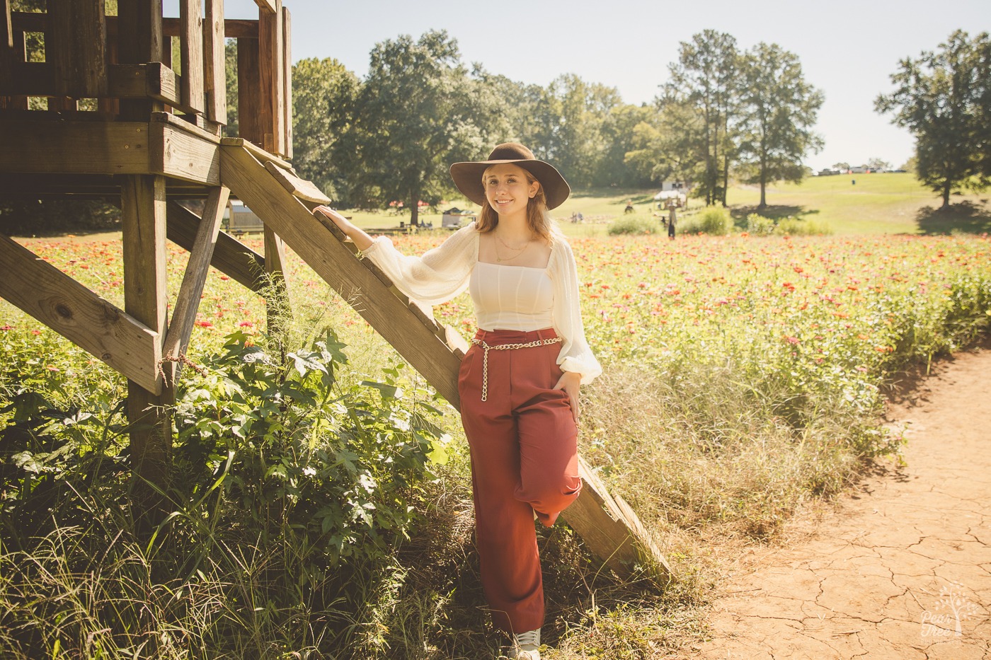 Creekview high school senior girl leaning against a ladder in a wildflower field