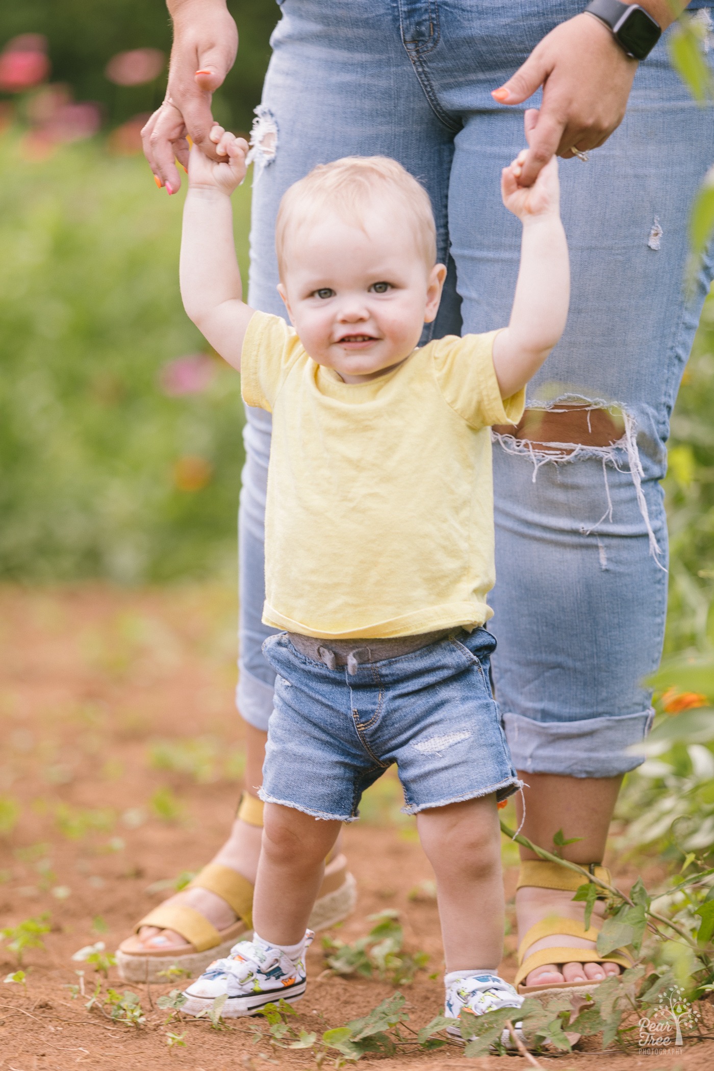 Smiling one year old boy holding mom's hands to help him stand