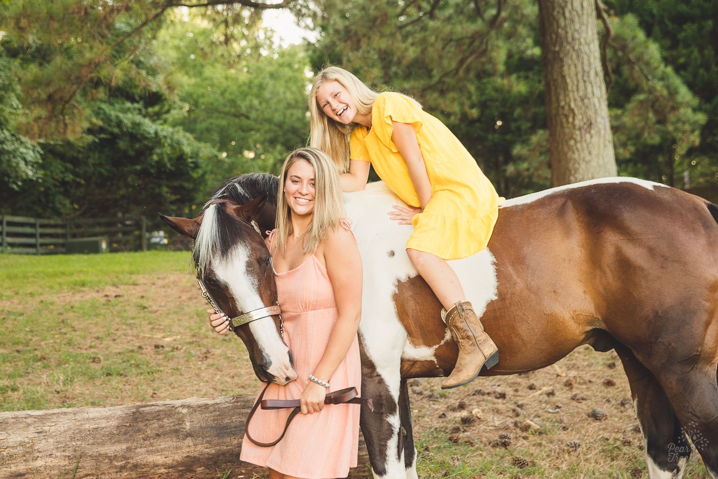 Two sisters smiling and laughing during their paint horse photo shoot misbehaving as he chews on one sister's dress