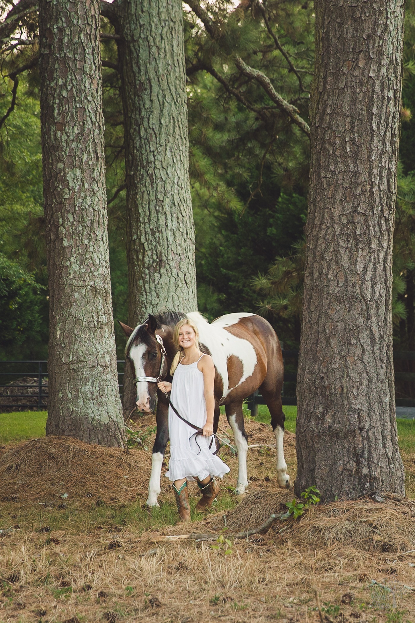 Sweet young girl in a white sundress walking her paint horse between tall, old pine trees in a Woodstock, GA field