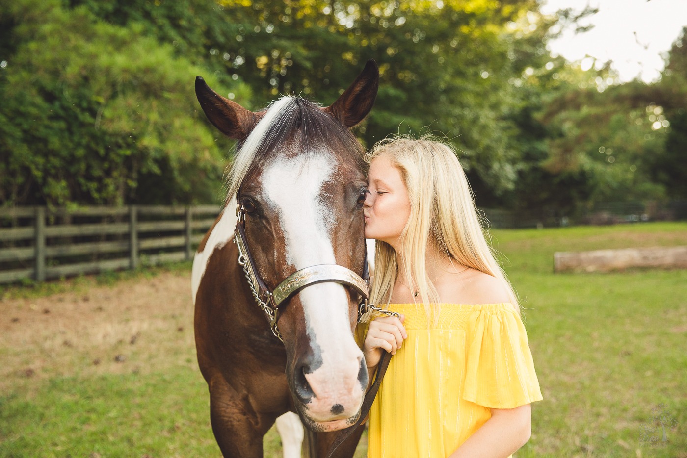Pre-teen blond girl kissing her paint horse in a field