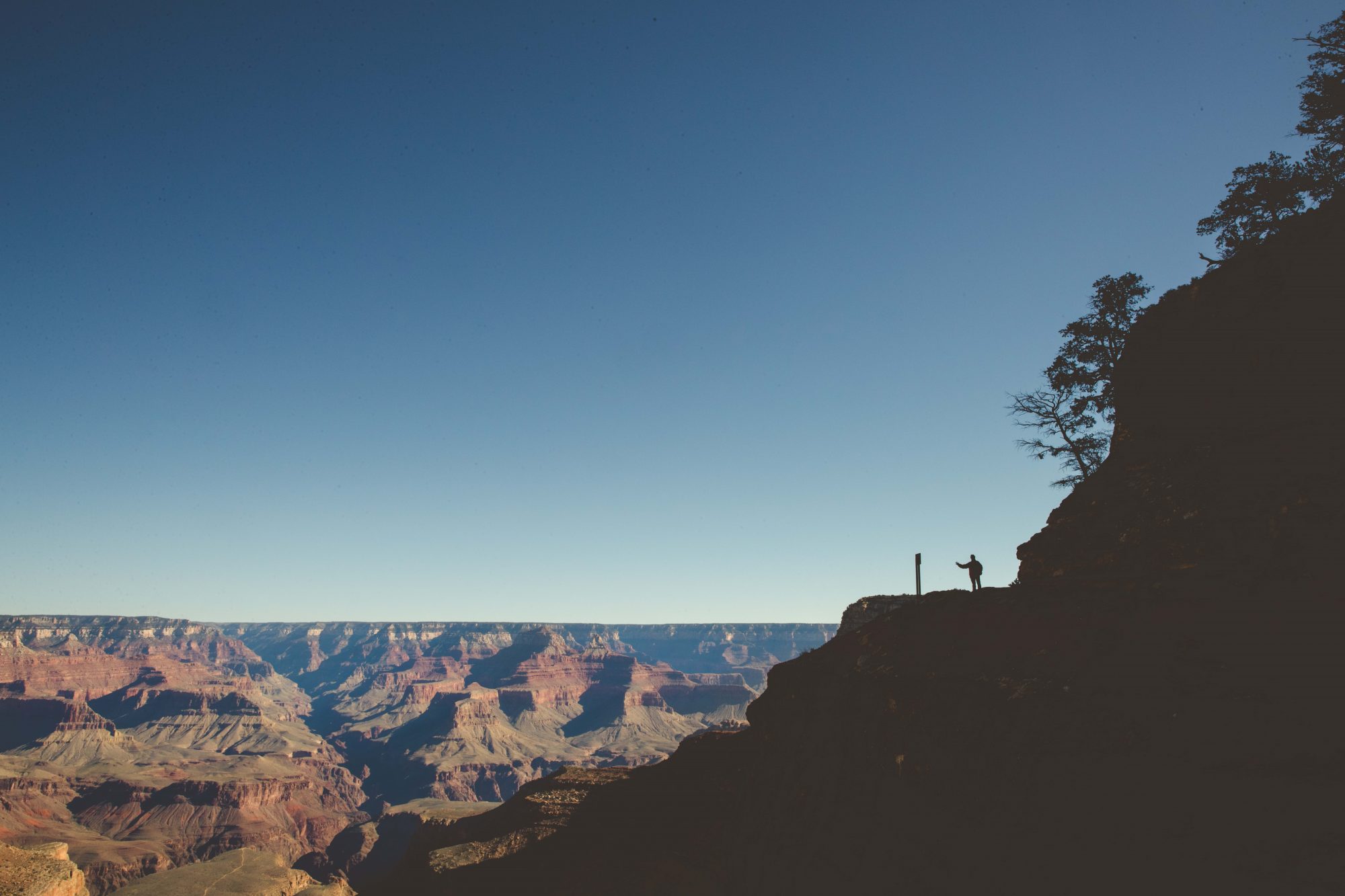 Silhouette of a man waving above the Grand Canyon