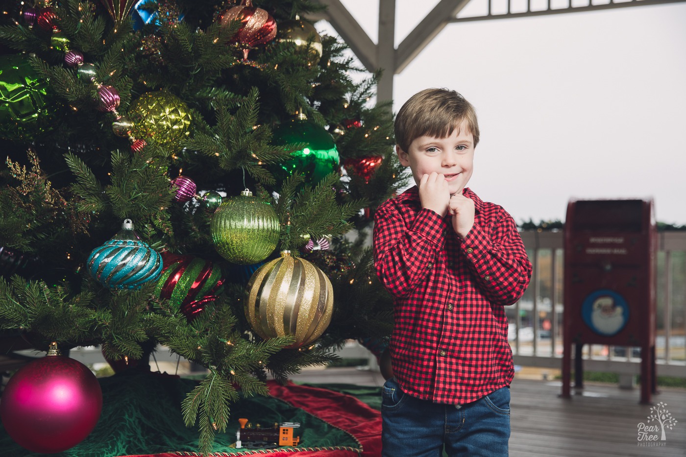 Four year old photoshoot of a boy in a red checked shirt standing next to a large Christmas tree and smiling in the downtown Woodstock gazebo