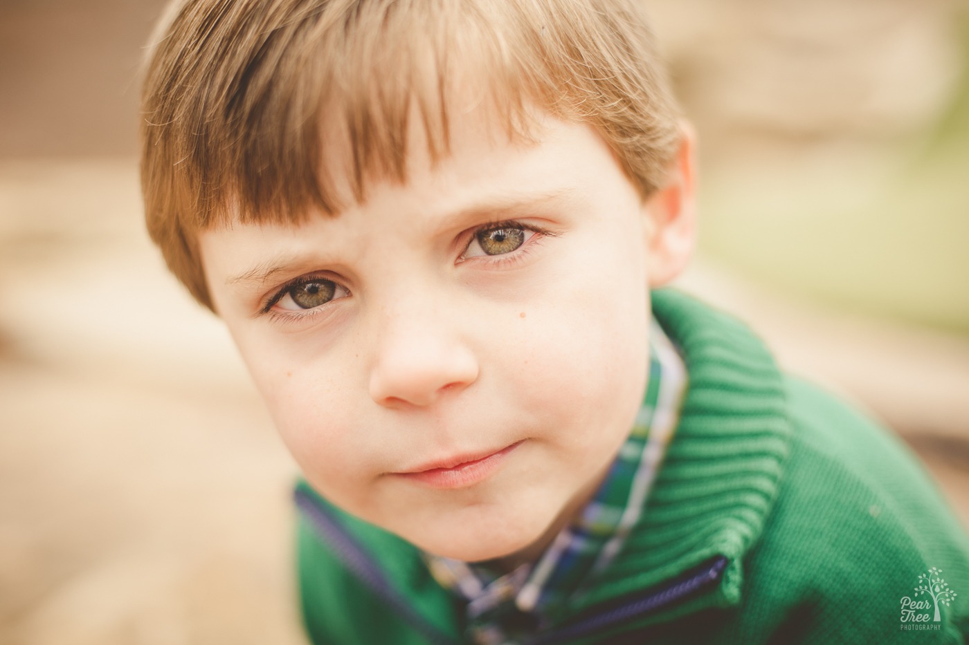 Cute little boy with green eyes and wearing a green sweater staring intently at the camera