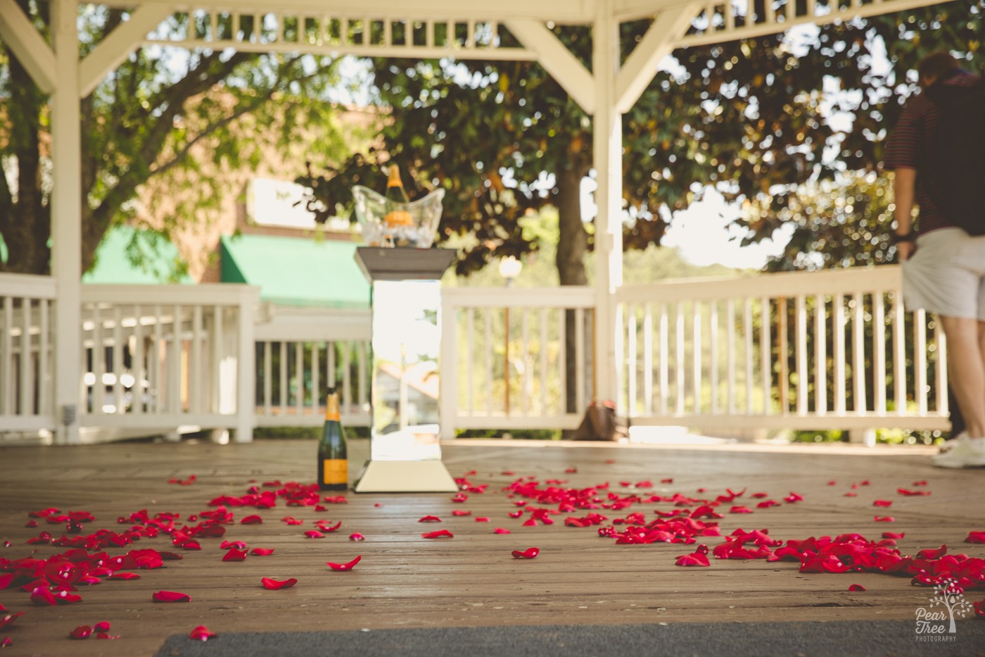Champagne and rose petals scattered over Woodstock gazebo for a surprise proposal