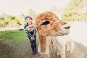 Cute brown alpaca stepping in front of an Adairsville high school senior while being photographed