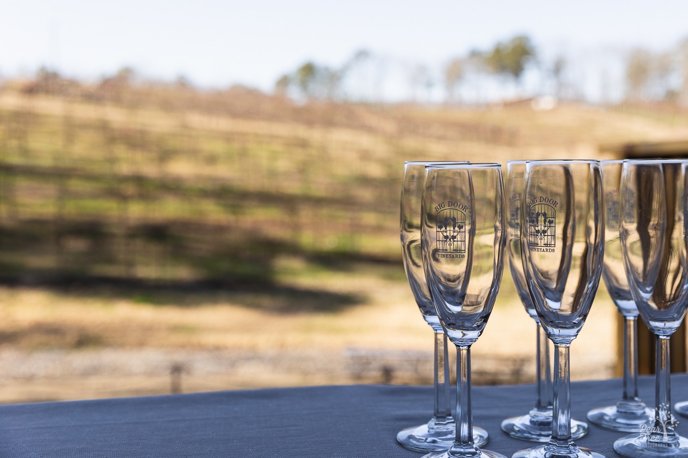 Big Door Vineyard glasses lined up on a table in front of a window and the vineyards blurry in the background