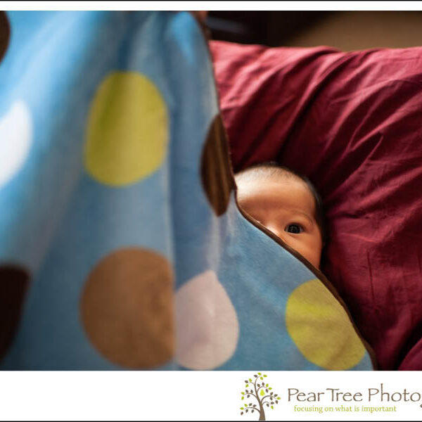 Newborn baby boy peering out behind polka dot blanket