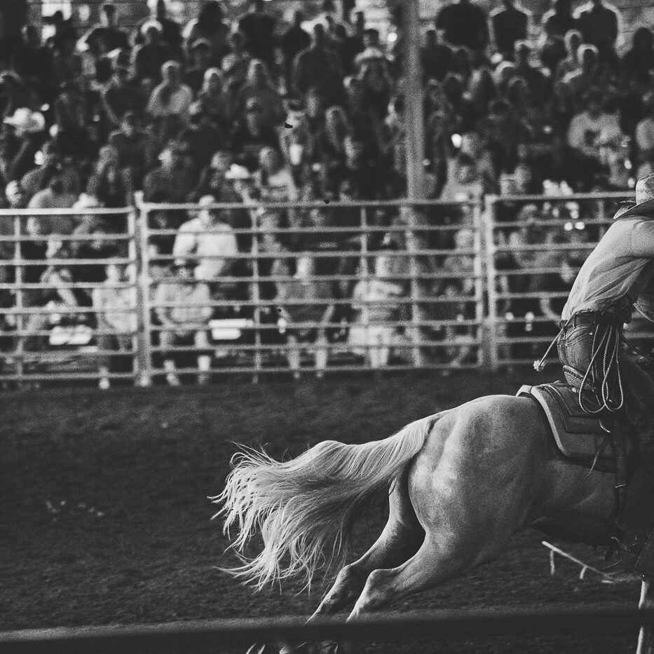 Black and white photograph of a cowboy running out of frame with the horse's tail flying out behind him at a rodeo with his hand raised in the air swirling his lasso rope
